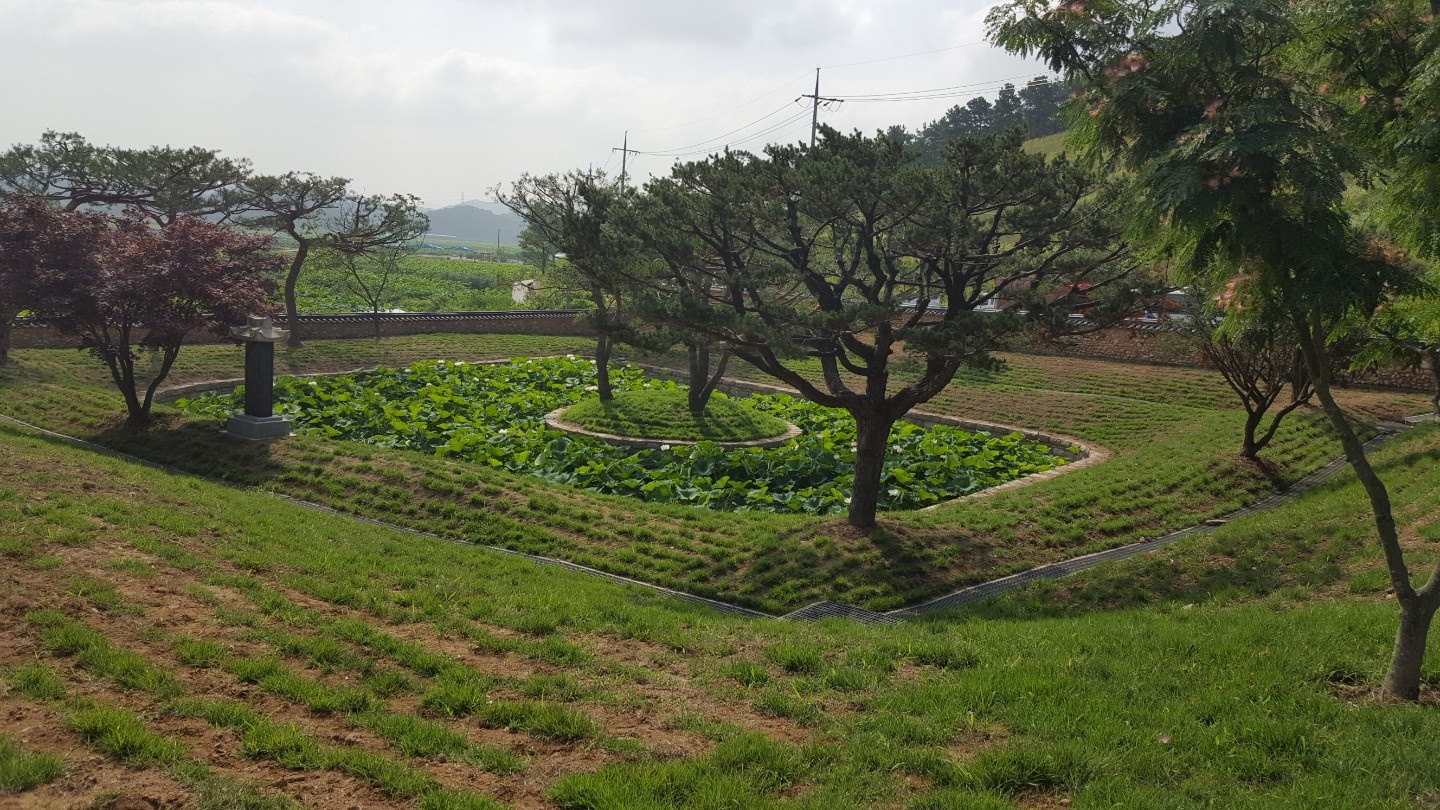 경기 시흥 관곡지 전경