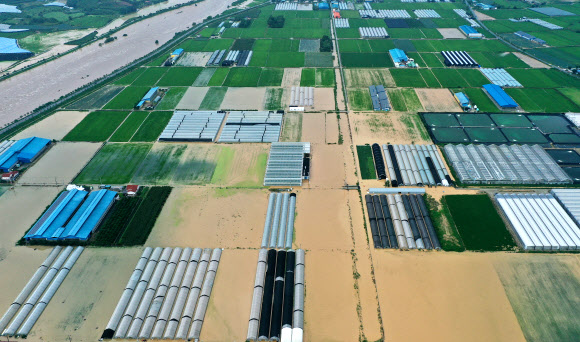 물에 잠긴 농경지