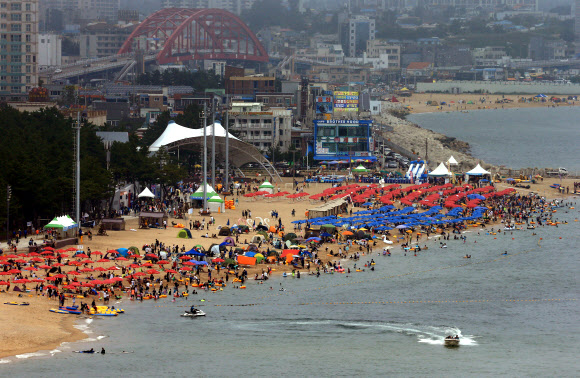 백사장 수놓은 파라솔