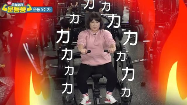 웹 예능으로 시작해 본 프로그램의 인기를 넘보는 ‘시켜서 한다! 오늘부터 운동뚱’. <br>코미디TV 제공