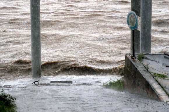 불어나는 임진강