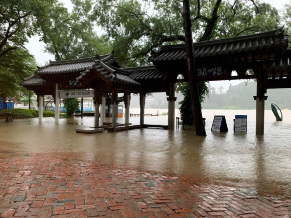 물에 잠긴 가평 대표 관광지 남이섬