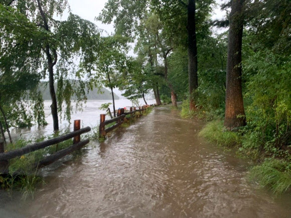 물에 잠긴 가평 대표 관광지 남이섬