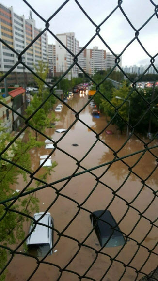 폭우에 잠긴 승용차들