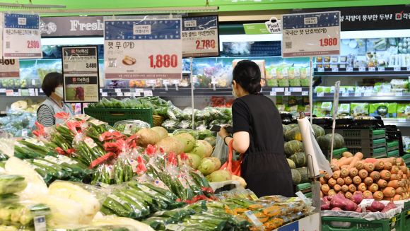10일 오전 서울의 대형마트에서 한 시민이 채소를 고르고 있다. 긴 장마로 일부 채소 가격이 크게 오르자 정부는 수급 안정 대책을 내놓았다. 도준석 기자 pado@seoul.co.kr