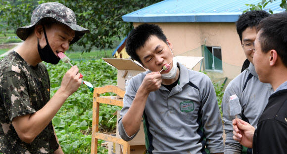 11일 경남 거창군 고제면 산양마을 수해복구 현장에 투입된 8962부대 제6대대 장병들이 쉬는 시간에 아이스크림을 먹으며 더위를 식히고 있다. 2020.8.11  거창군 제공