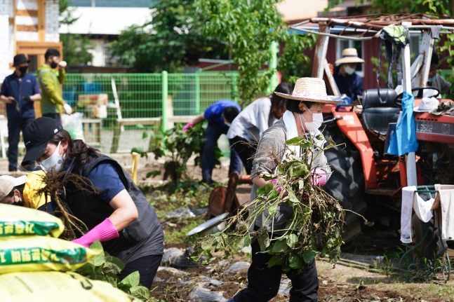 문재인 대통령의 부인 김정숙 여사가 12일 강원 철원군 동송읍 이길리 마을에서 수해 복구 봉사활동을 하고 있다/청와대 제공