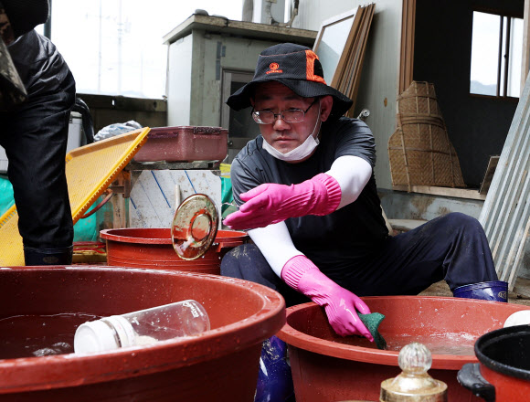 미래통합당 주호영 원내대표가 13일 오전 전북 남원시 금지면 용전마을에서 수해 복구 활동을 하고 있다. 2020.8.13  연합뉴스