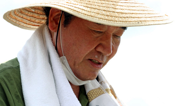 더불어민주당 이낙연 당 대표 후보가 13일 오전 충남 금산군 제원면 대산리 침수 피해 현장을 찾아 물에 잠겼던 인삼을 캐내며 땀을 흘리고 있다. 2020.8.13  연합뉴스