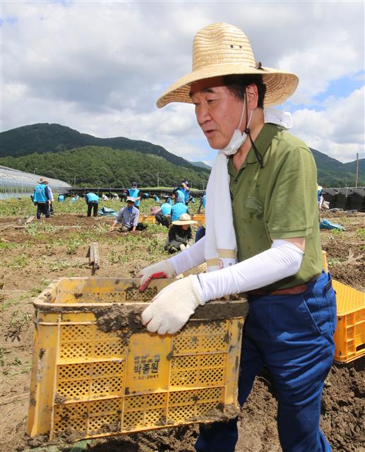 이낙연 더불어민주당 당대표 후보가 13일 오전 수해 피해를 입은 충남 금산 제원면 대산리 인삼밭을 찾아 복구작업을 하고 있다. 2020.8.13 뉴스1