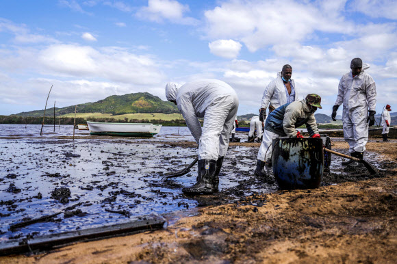 해안 오염 기름띠 수습하는 모리셔스 방재 요원들