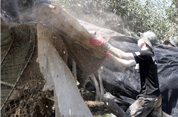 흙먼지 아랑곳하지 않고