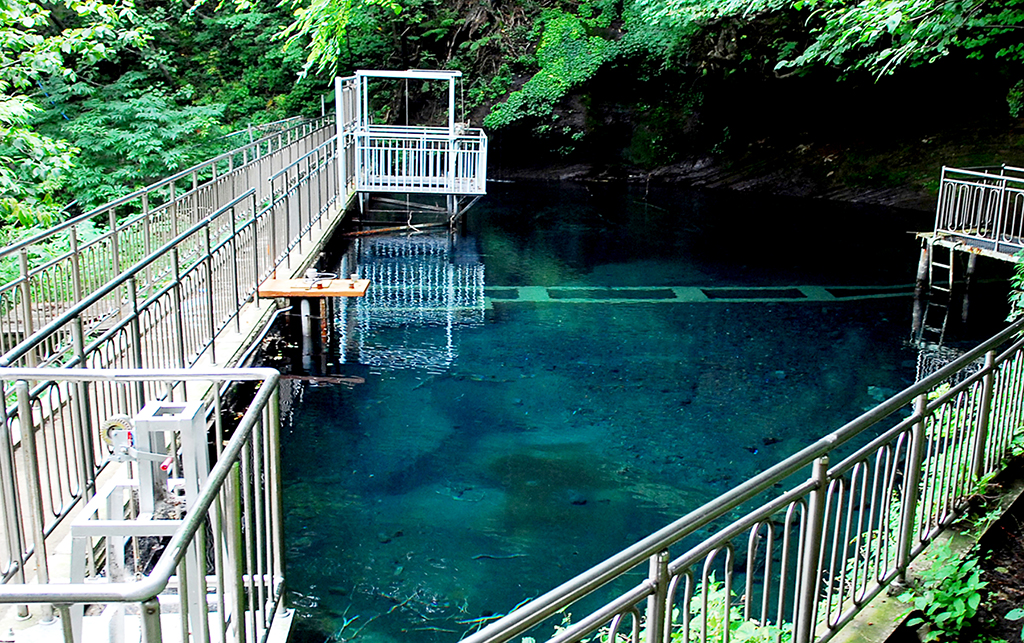 울릉도 나리분지 용천수. 울릉군 제공  