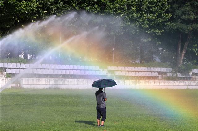 폭염 속 무지개 산책