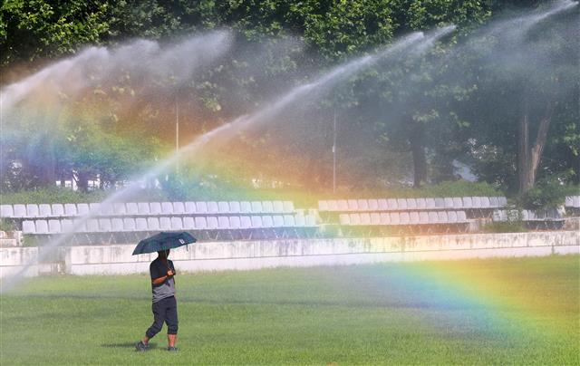 폭염 속 무지개 산책