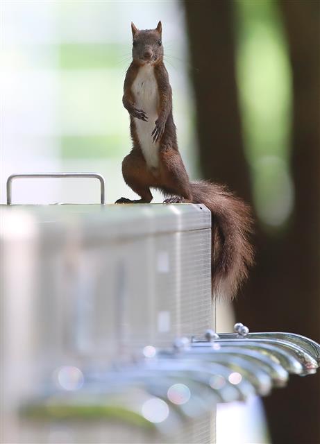 ‘물은 셀프잖아요’