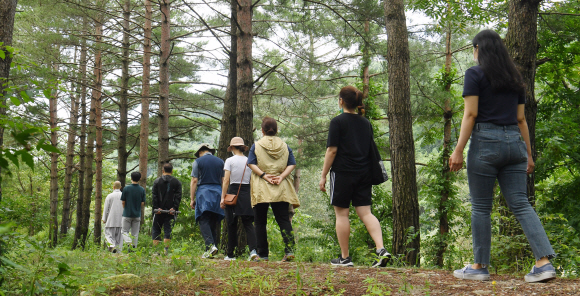 걷기명상 참가자들이 스님의 안내로 오대산 숲길을 걷고 있다.