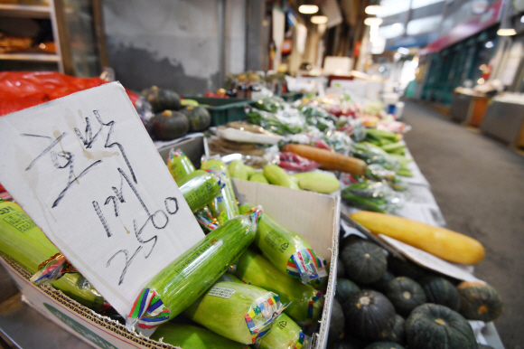 역대급 장마에 채소.과일값이 폭등한 가운데 23일 서울 한 시장에서 애호박을 판매하고 있다.2020. 8. 23 박윤슬 기자 seul@seoul.co.kr