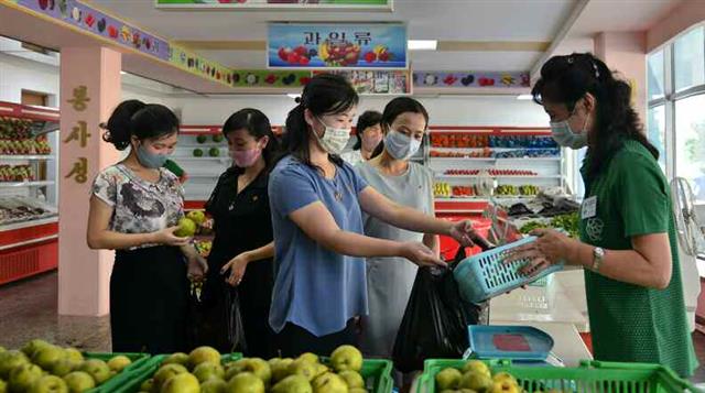 북한 노동당 기관지 노동신문은 24일 황해남도 과일군에서 수확한 배가 22일과 23일 평양에 도착했다고 보도했다. 배는 평양시 제2인민병원, 제3인민병원, 평양시구급병원을 비롯한 시안의 병원과 상업봉사단위를 통해 시민에 공급됐다. 평양 노동신문=뉴스1