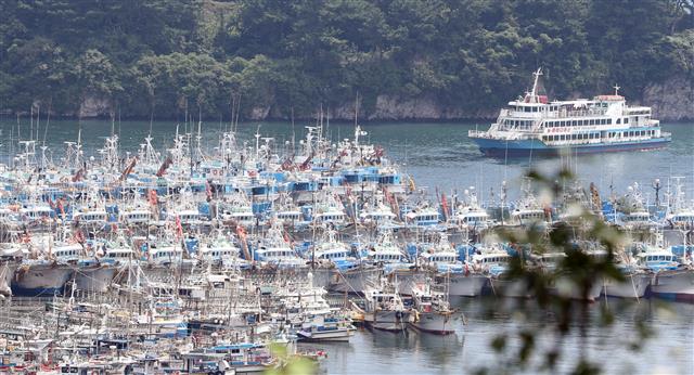 제8호 태풍 ‘바비(BAVI)’가 북상 중인 24일 오후 제주 서귀포항에 어선들이 피항해 있다. 제주는 이날 밤부터 태풍 간접영향권에 들 것으로 보인다.2020.8.22 뉴스1