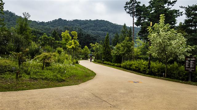 2013년 서울 최초로 조성한 시립수목원인 푸른수목원.