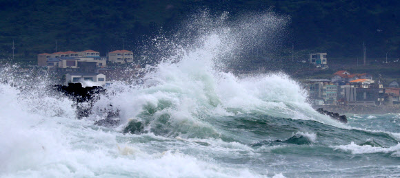 제8호 태풍 ‘바비’가 한반도를 향해 북상하는 가운데 25일 오전 제주 서귀포시 안덕면 사계리 해안가에 강한 파도가 몰아치고 있다. 2020.8.25  연합뉴스