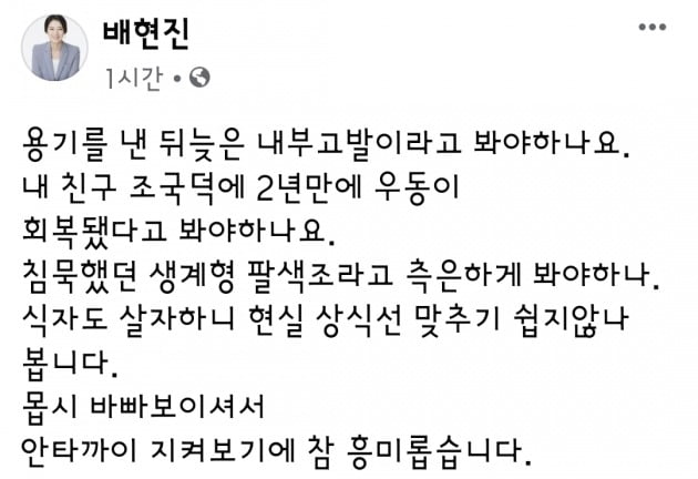 배현진 페이스북 캡처