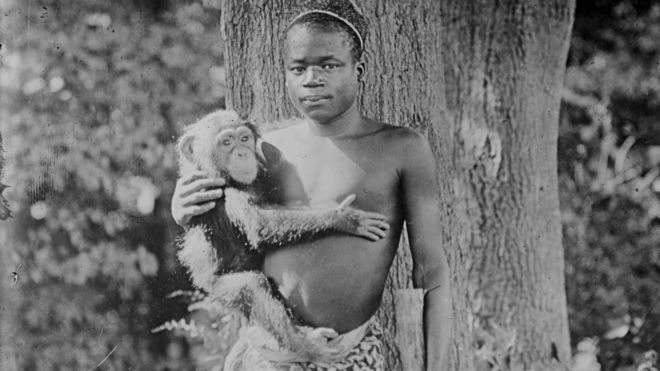1906년 9월 미국 뉴욕 브롱크스 동물원에 원숭이들과 함께 전시됐을 때의 오타 벵가. 미국 의회 도서관 영국 BBC 홈페이지 캡처