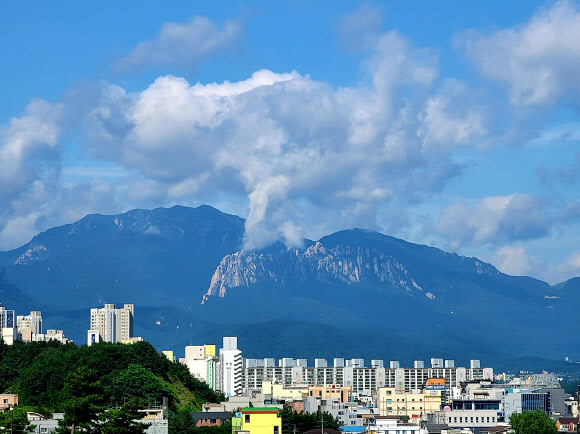 “불이 난 것 아닙니다”