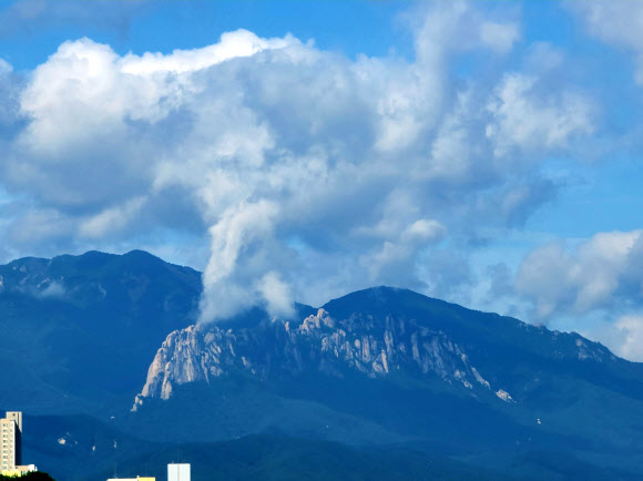 “불이 난 것 아닙니다”