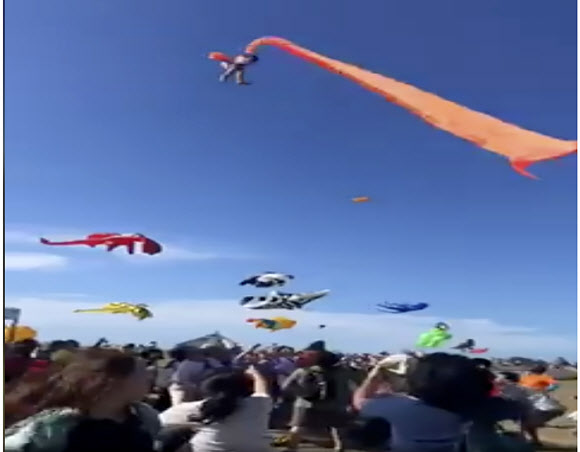 대만 북부 신주에서 30일 열린 연날리기 축제에서 3세 여자아이가 대형 연의 꼬리에 휘감겨 하늘에 30초간 떠 있다가 무사히 구조됐다. 2020.8.30  AP 연합뉴스