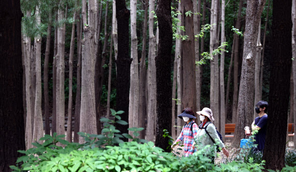 시원한 그늘 속