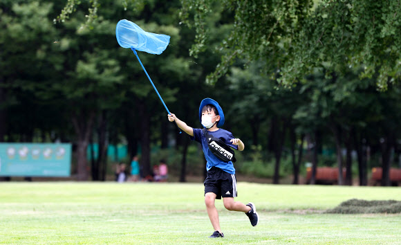 폭염 속 잠자리 잡기