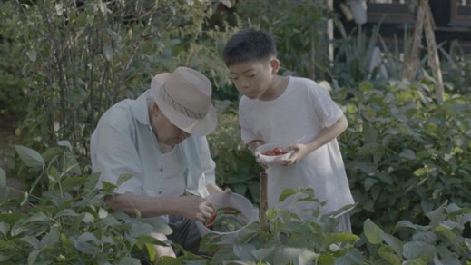 영화 ‘남매의 여름밤’