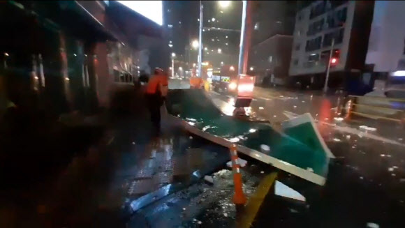 강풍에 떨어진 낙화물