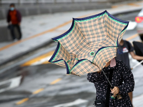 강한 바람에 뒤집힌 우산