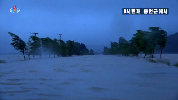 태풍 ‘마이삭’에 북한 통천군도 물난리…비바람에 휘어지는 나무들
