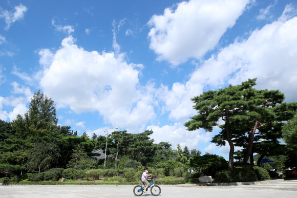 푸른 하늘 아래