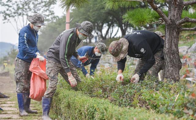 삼척 장미공원서 태풍 잔재 정리하는 장병들