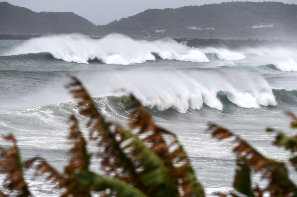 태풍 하이선이 접근하는 영향으로 6일 일본 가고시마현의 마쿠라자키 해안에 거센 파도가 밀려오고 있다.  AFP 연합뉴스