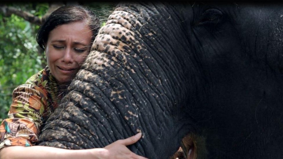 인도 사원 코끼리의 비참한 상황을 고발하기 위해 다큐멘터리를 만든 상기타 아이어가 지난 2013년 처음 만나 아끼는 코끼리 락시미를 어루만지며 함께 아파하고 있다. 락시미는 한쪽 눈이 멀었다.