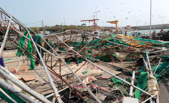 8일 태풍 마이삭과 하이선이 북상할 때 월파 피해를 본 부산 기장군 월전마을 한 임시 활어센터가 형체도 없이 무너져 있다. 2020.9.8  연합뉴스