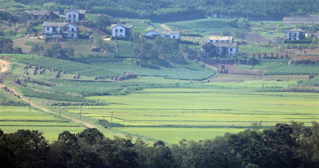 8일 경기도 파주시 접경지역에서 바라본 태풍이 지나간 북한 개풍군 마을이 고요하다. 8일 미국의소리(VOA) 방송에 따르면 오픈도어스 미국지부는 최근 자체 웹사이트에 북한 주민들의 식량난 실태를 전하며 “코로나로 인한 국경 봉쇄, 식량 부족, 감당할 수 없는 식량 가격으로 주민들이 고통받고 있고, 여기에 홍수와 산사태, 폭염까지 더해 북한 주민들이 매우 힘든 한 해를 보내고 있다”고 설명했다. 한편 9일은 북한의 정권 수립일인 ‘9·9절’이다. 2020.9.8 뉴스1