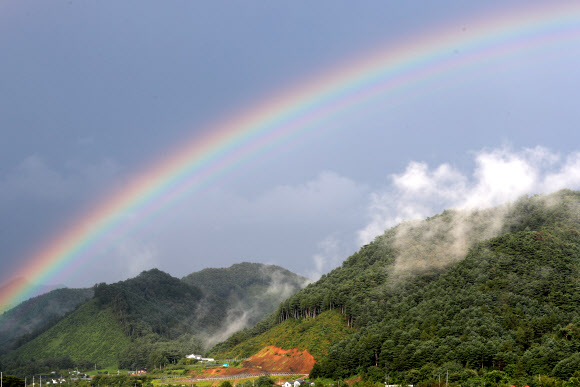 9일 오후 강원 홍천군 두촌면의 한 인삼밭 위로 쌍무지개가 떠 있다. 2020.9.9  연합뉴스