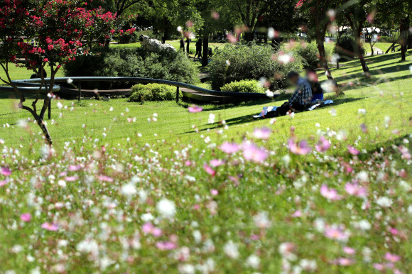 ‘어느새 가을이’
