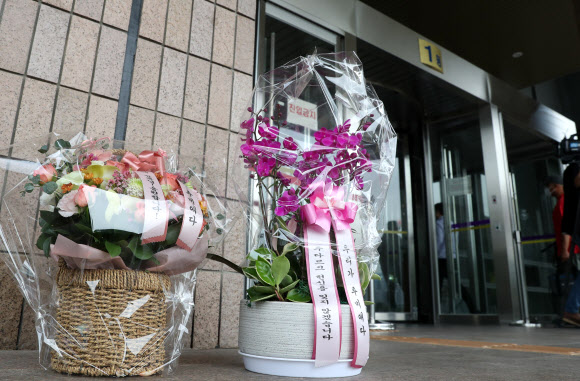 법무부 앞에 놓여 있는 추미애 장관 지지 화분