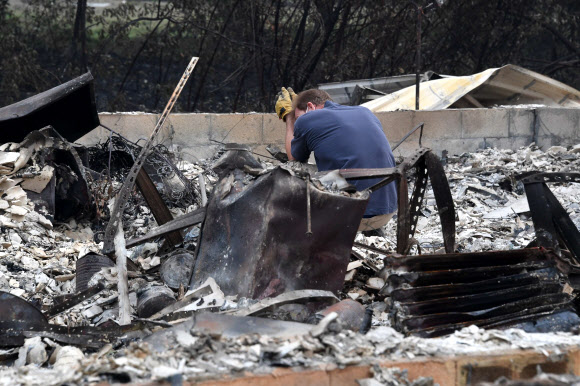 마이클 레이놀즈는 15일(현지시간) 미국 오리건주 탤런트의 알메다 화재로 파괴된 그의 집 폐허에서 타고 남은 물품를 찾고 있다. 캘리포니아, 오리건, 워싱턴 주 전역의 화재는 올해 500만 에이커(2백만 헥타르) 이상을 불태우고 수십 명의 목숨을 앗아갔으며 수십만 명의 집을 태웠다. AFP 연합뉴스