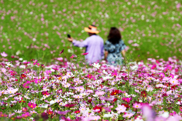 성큼 다가온 가을