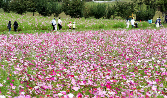 성큼 다가온 가을