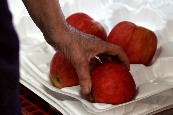 절망을 딛고 다시